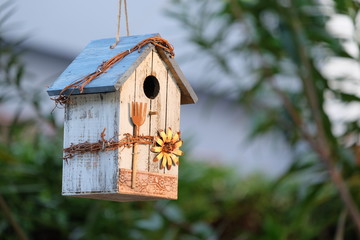 A bird house decorated in a garden makes our backyard beautiful. And there are birds creating a fresh atmosphere in the backyard.