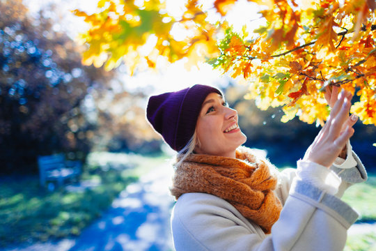 Smiling, curious young woman looking up at autumn leaves on tree in sunny park
