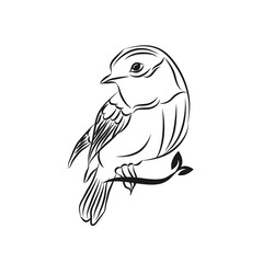 Vector line bird logo, pigeon silhouette, flying abstract logo, icon isolated.