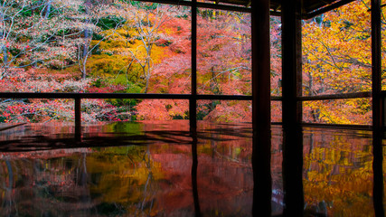 京都　美しい紅葉　②