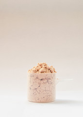 Whey Protein