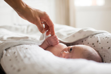 Mother holding hands with newborn baby boy laying in bassinet