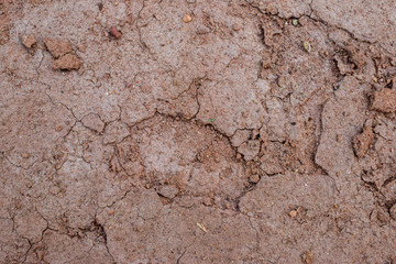 cracked earth background