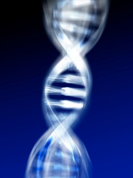 DNA molecule, computer artwork