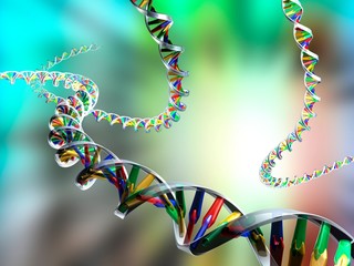 DNA molecules, computer artwork