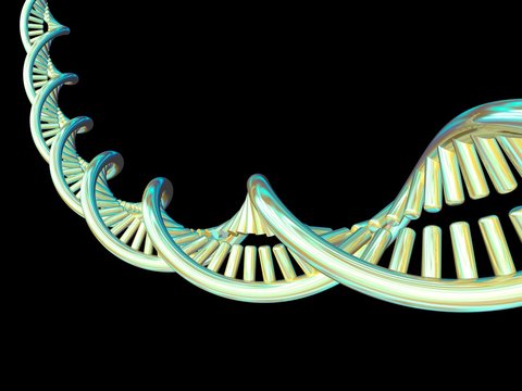 DNA molecule, computer artwork