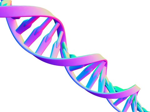 DNA molecule, computer artwork