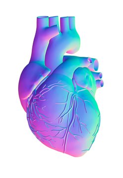 Heart, computer artwork