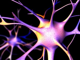 Nerve cells, computer artwork