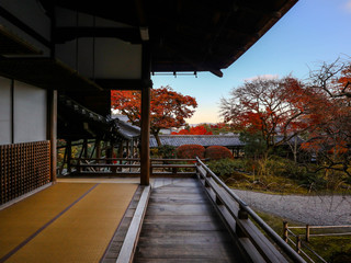 京都　美しい風景　庭園　天龍寺