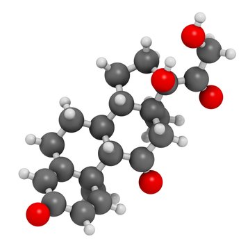 Prednisone corticosteroid drug molecule
