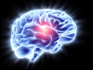 Human brain, artwork