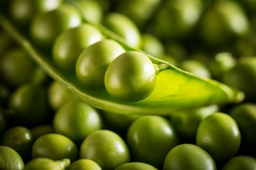 Garden peas in the pod