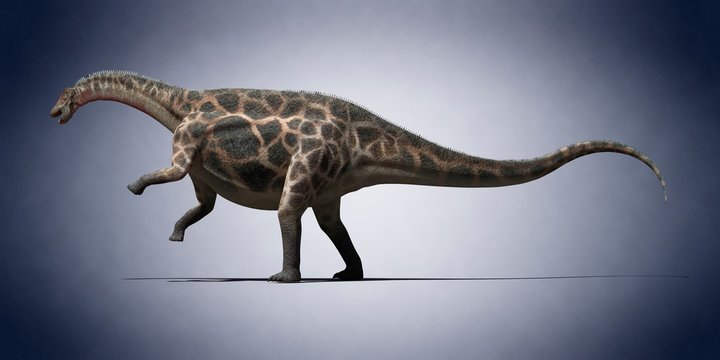 Dicraeosaurus, illustration
