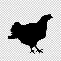Detailed bird black silhouette isolated on transparent background. Bird icon. Flat style bird sign. Vector illustration