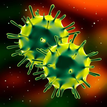 Influenza virus (H1N1), illustration