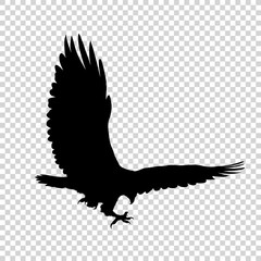 Detailed bird black silhouette isolated on transparent background. Bird icon. Flat style bird sign. Vector illustration