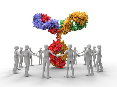 3D men around an antibody molecule