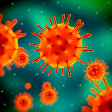 Influenza virus (H1N1), illustration