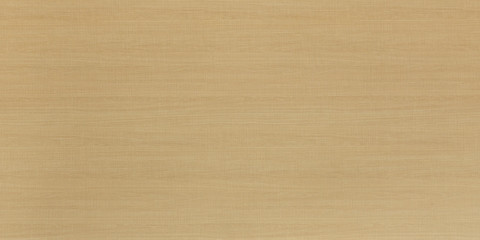 Wood texture background with natural pattern. Close up brown wooden surface