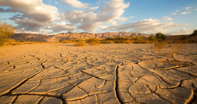Parched ground in a desert