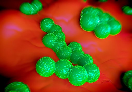 MRSA bacteria