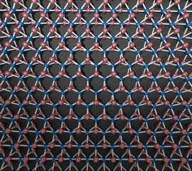 Transition metal dichalcogenide monolayer