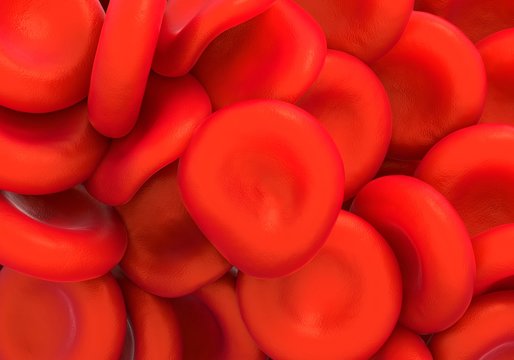 Red blood cells, illustration