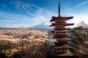 Obraz premium Fujiyoshida, Japan at Chureito Pagoda and Mt. Fuji in the spring with cherry blossoms full bloom during sunrise. Japan Landscape and nature travel, or historical building and sightseeing concept.