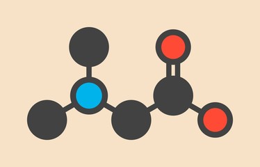 Dimethylglycine molecule