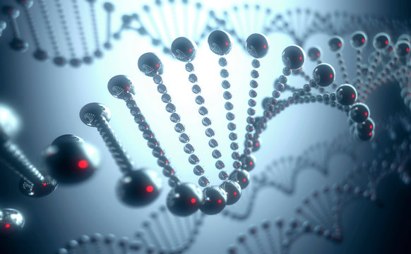 DNA structure, Illustration