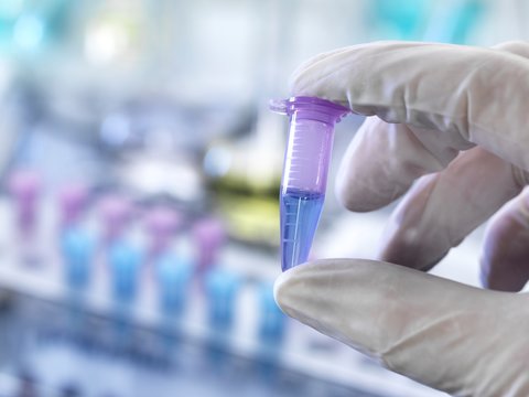 Chemical research