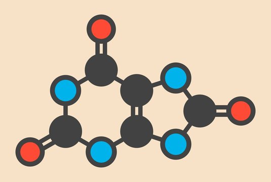 Uric acid molecule
