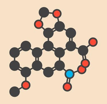 Aristolochic acid plant poison molecule