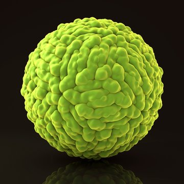 Zika virus, illustration