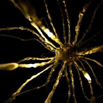 Nerve cell