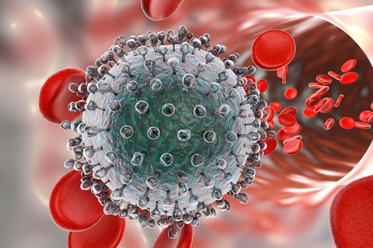 Hepatitis C virus, illustration