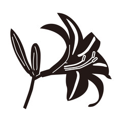 ニッコウキスゲ