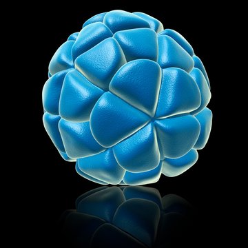 Satellite tobacco necrosis virus