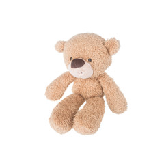 Toy or Brown Teddy bear with concept on the background new.