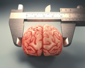Measuring human brain, illustration