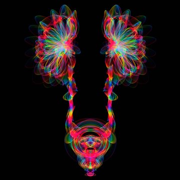 Human urinary system, illustration