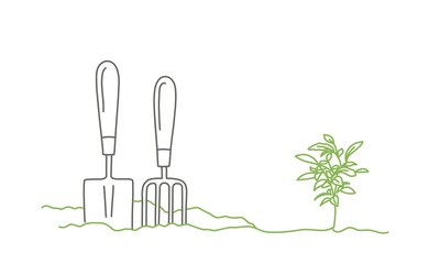 Gardening tools  and sprout. Gardening or planting concept. Colour line drawing vector illustration.