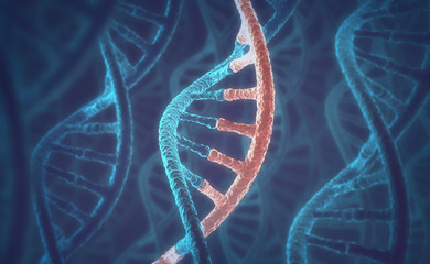 DNA molecules, illustration