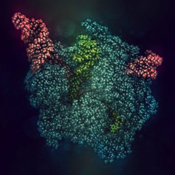 CRISPR-CAS9 gene editing, illustration