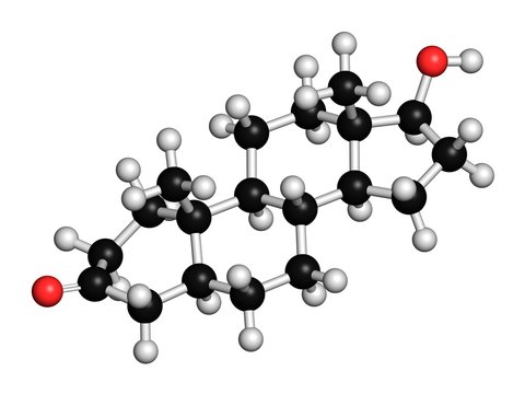 Dihydrotestosterone hormone, illustration
