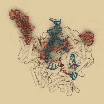 CRISPR-CAS9 gene editing, illustration