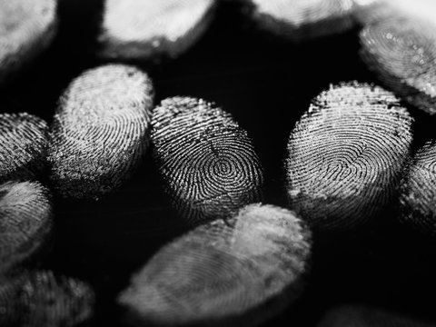 Finger Prints
