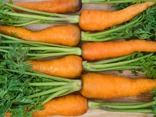 baby carrot nourish skin cells