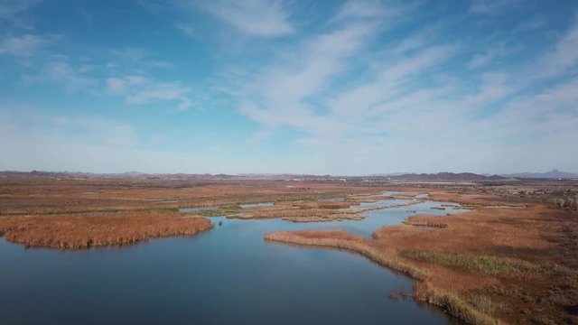 Drone Aerial View Of The Marsh Of Mittry Lake Wildlife Area On The Lower Colorado River - Yuma, Arizona